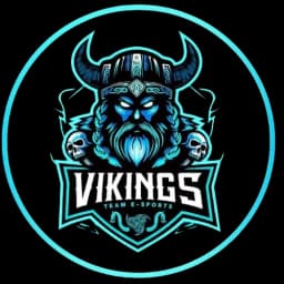 Vikings League